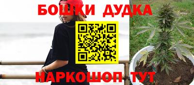 apvp Лесосибирск